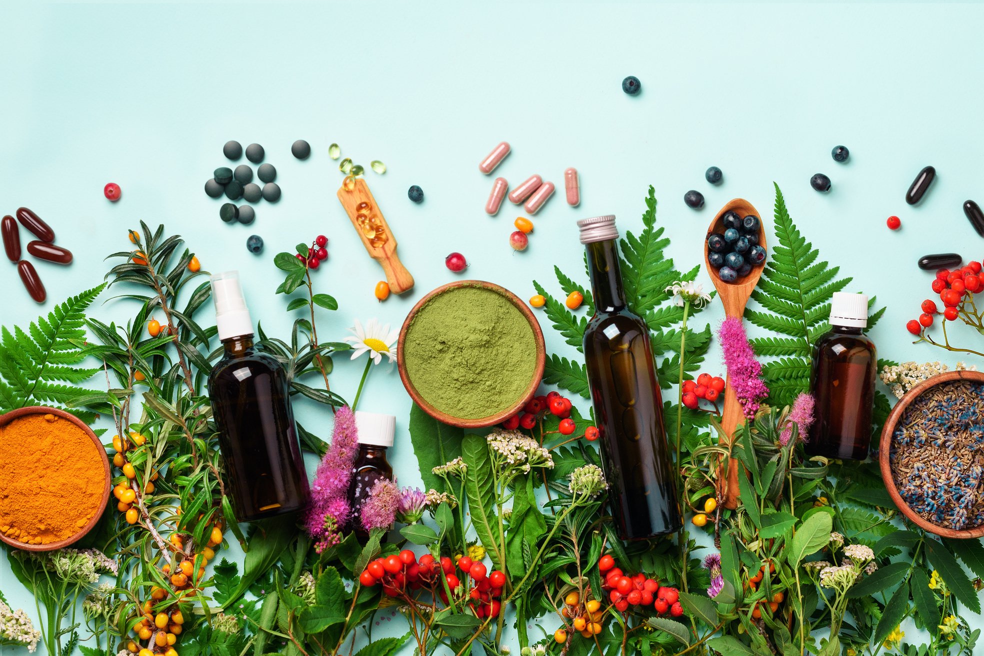 Alternative Medicine. Holistic Approach. Healing Herbs and Flowers over Blue Background. Top View, Copy Space, Flat Lay. Banner.